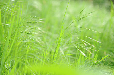 BUITEN BEELD Foto: 122874