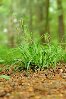 BUITEN BEELD Foto: 122889