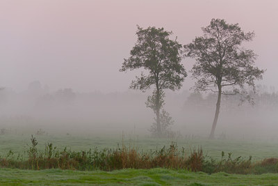 BUITEN BEELD Foto: 122904