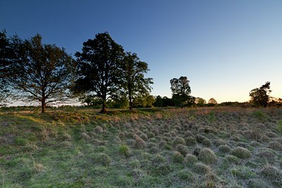 BUITEN BEELD Foto: 123041