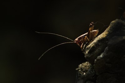 BUITEN BEELD Foto: 123090