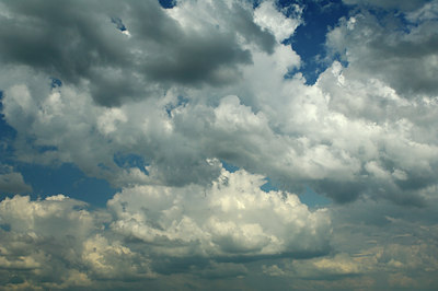 BUITEN BEELD Foto: 123119