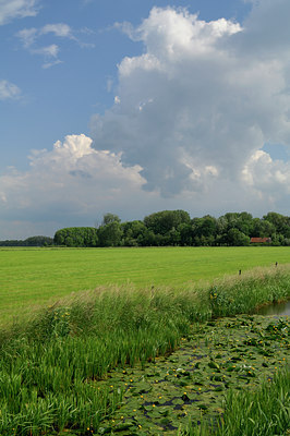 BUITEN BEELD Foto: 123153