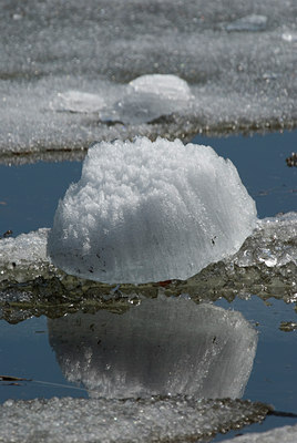 BUITEN BEELD Foto: 123300