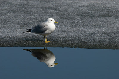 BUITEN BEELD Foto: 123314