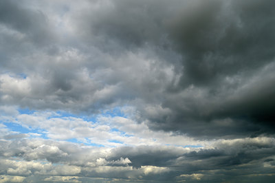 BUITEN BEELD Foto: 123315