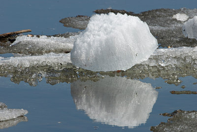 BUITEN BEELD Foto: 123316