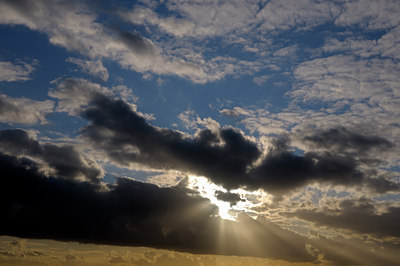 BUITEN BEELD Foto: 123334