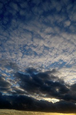 BUITEN BEELD Foto: 123341
