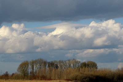 BUITEN BEELD Foto: 123369