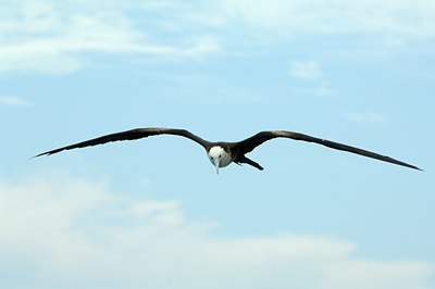 BUITEN BEELD Foto: 123521