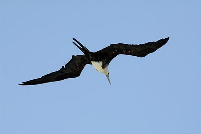BUITEN BEELD Foto: 123530