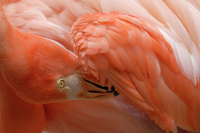 BUITEN BEELD Foto: 123612