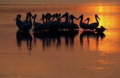 BUITEN BEELD Foto: 123667