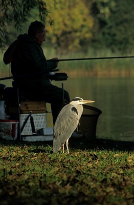 BUITEN BEELD Foto: 123674