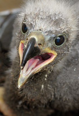 BUITEN BEELD Foto: 123728
