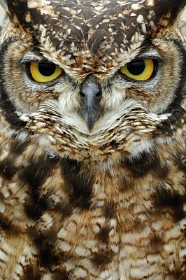 BUITEN BEELD Foto: 123751