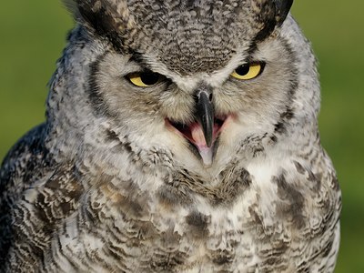 BUITEN BEELD Foto: 123774
