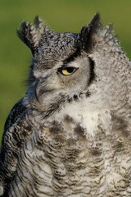 BUITEN BEELD Foto: 123775