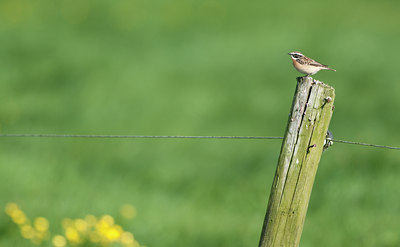 BUITEN BEELD Foto: 123818