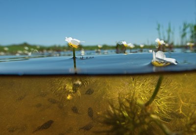 BUITEN BEELD Foto: 124034