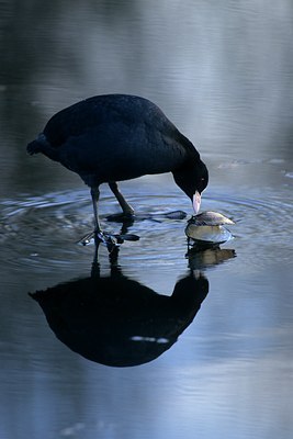 BUITEN BEELD Foto: 124208