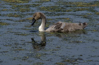 BUITEN BEELD Foto: 124240