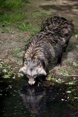 BUITEN BEELD Foto: 124242