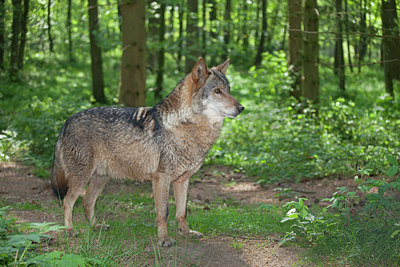 BUITEN BEELD Foto: 124244