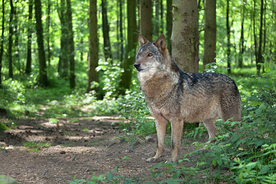 BUITEN BEELD Foto: 124258