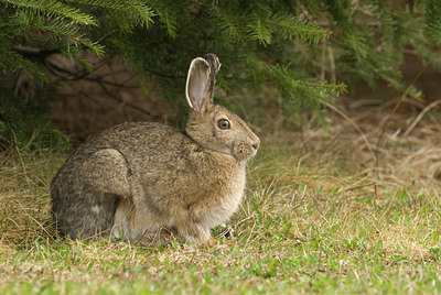 BUITEN BEELD Foto: 124273