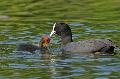 BUITEN BEELD Foto: 125004
