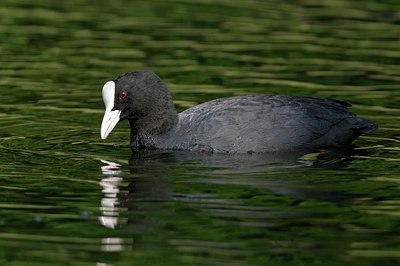 BUITEN BEELD Foto: 125006