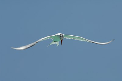 BUITEN BEELD Foto: 125049