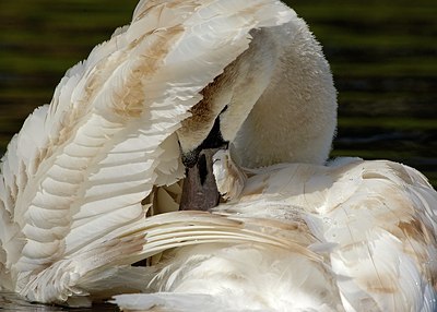BUITEN BEELD Foto: 125064