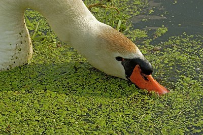 BUITEN BEELD Foto: 125073
