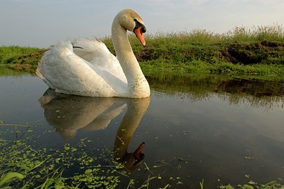 BUITEN BEELD Foto: 125081