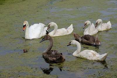BUITEN BEELD Foto: 125114