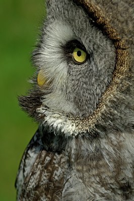 BUITEN BEELD Foto: 125315