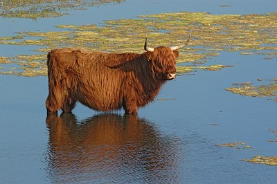 BUITEN BEELD Foto: 125584