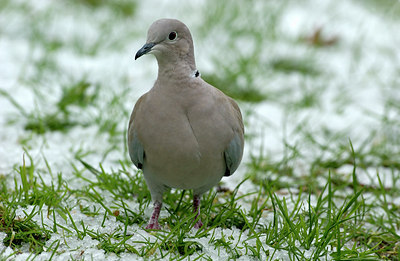 BUITEN BEELD Foto: 125655