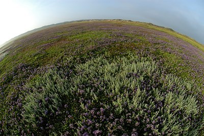 BUITEN BEELD Foto: 125675