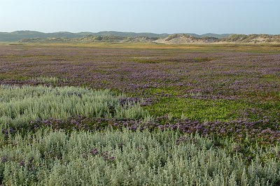 BUITEN BEELD Foto: 125676