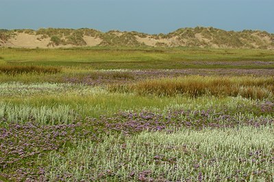 BUITEN BEELD Foto: 125684