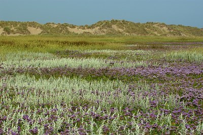 BUITEN BEELD Foto: 125685