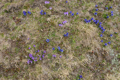 BUITEN BEELD Foto: 125777