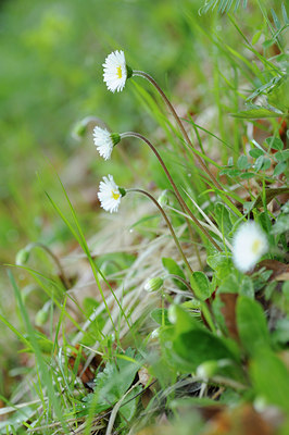 BUITEN BEELD Foto: 125796