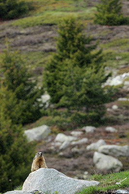 BUITEN BEELD Foto: 125800