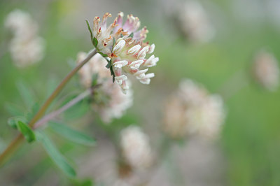 BUITEN BEELD Foto: 125819