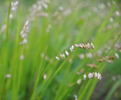 BUITEN BEELD Foto: 125821